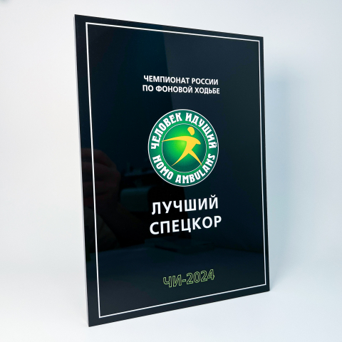 Плакетка «Чемпионат России по скандинавской ходьбе» из дерева и металла. 